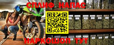 стафф Новодвинск
