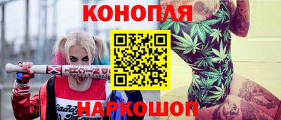 стафф Новодвинск