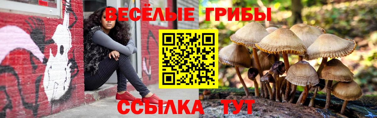 Галлюциногенные грибы мицелий Белебей